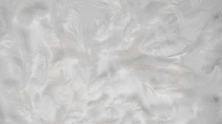 A white feather pattern on a white surface.