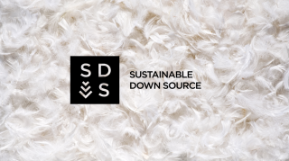 a white feathers background with Sustainable Down Source logo